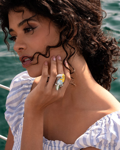 Paparazzi Twinkling Toucan