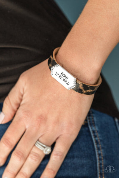 Paparazzi Born To Be Wild